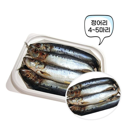 바다낚시용미끼싱싱한정어리